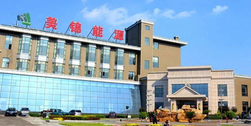 河鋼集團(tuán)發(fā)布重大訴訟進(jìn)展公告